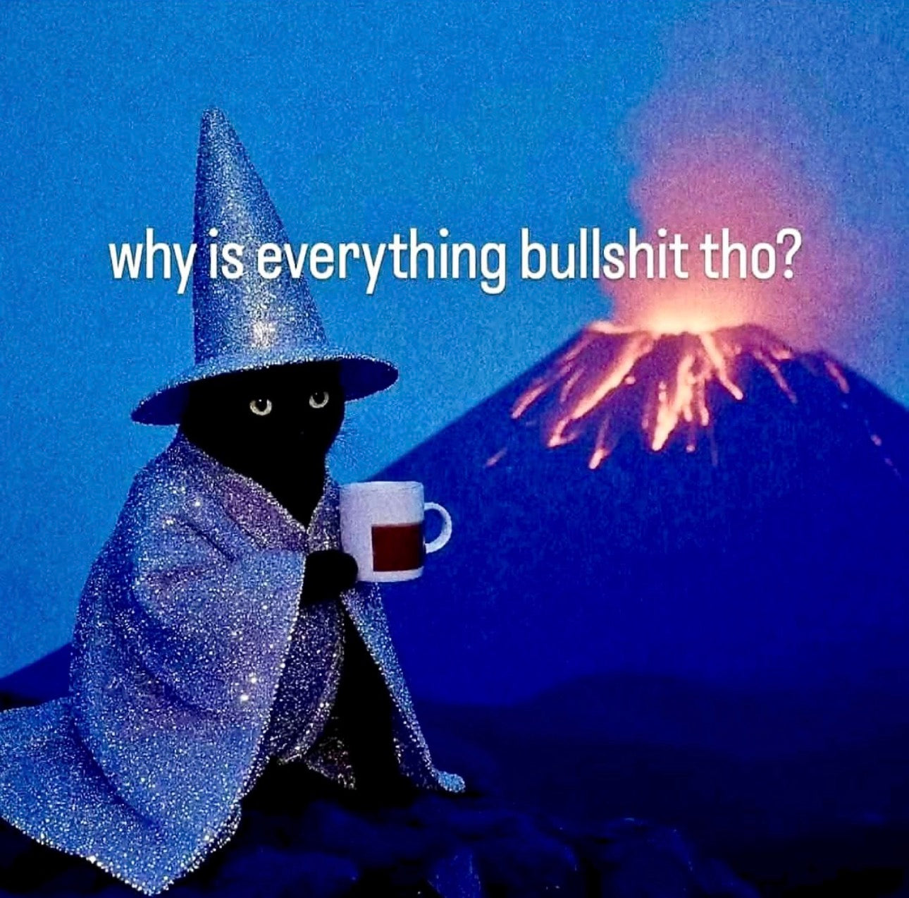 Why is Everything Bullshit Tho Cat Wizard Realness